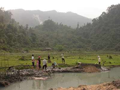 Spinel and ruby mining in rice fields near An Phu village, Luc Yen region, Vietnam. In the background are white marble cliff where spinels are also mined. Luc Yen Vietnam. 