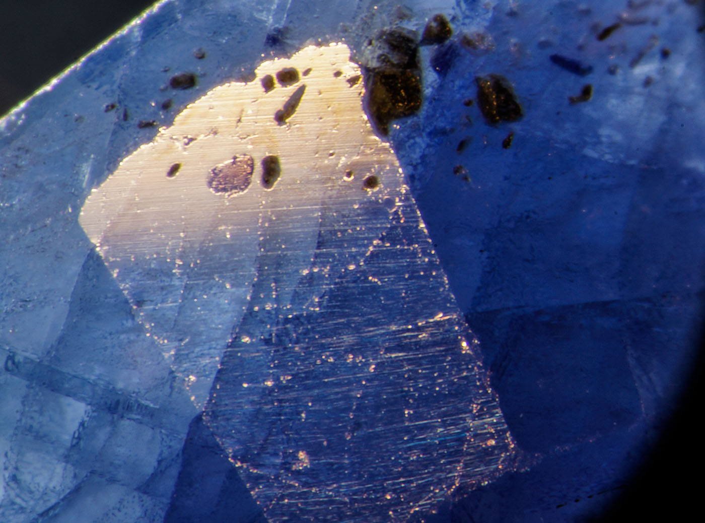 An inclusion in cobalt-doped glass filled sapphire reveals the lower luster of the glass filler. Photo: Richard W. Hughes, Lotus Gemology.