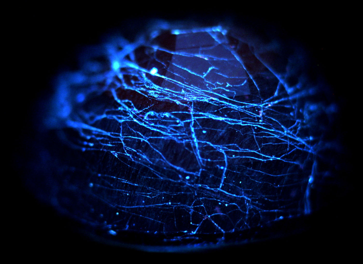 Figure 13. DiamondView™ image of a cobalt-doped glass-filled sapphire, showing chalky blue fluorescence from the glass-filled fissures. (Image: GIT).