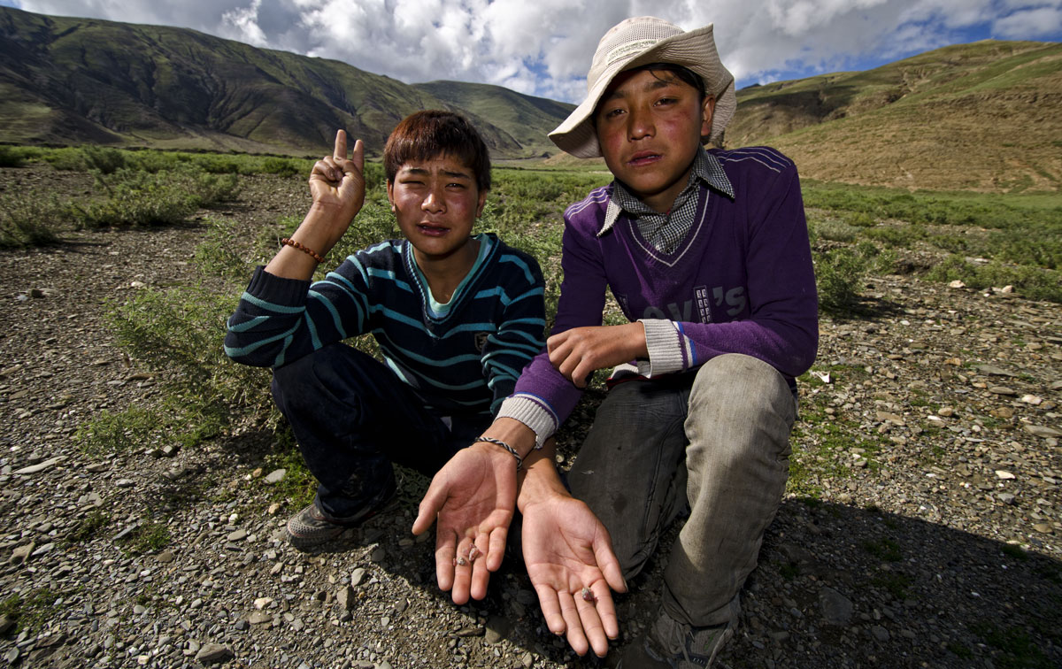 Tibet Two young Tibetan shepherds showing off the andesine specimens that they helped Richard Hughes and Dana Schorr collect at Dhongtso 5 (Zha Lin) on 20 August, 2011. These teenage boys had no advance notice of the arrival of Hughes and Schorr, nor did they have any communication with anyone in the village prior to our arrival at the collection point. And yet they had no problem immediately pointing out where andesine could be collected when asked. Photo: Richard W. Hughes
