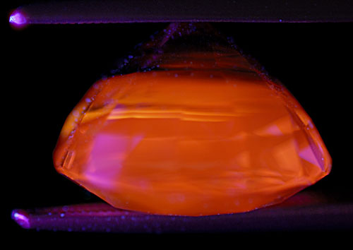 Apricot LW fluorescence in an unheated Madagascar sapphire